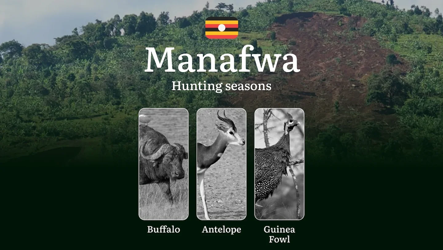 Scheduled Hunting Times in Manafwa: Area Regulations, Licensing, Penalties, and Hunting Tips