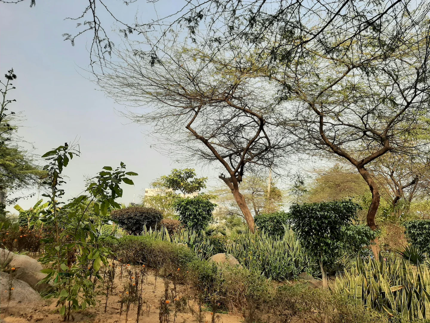 Hunting in Thiès, Senegal: Laws, Geography and Communities. Explore Coastal Beauty and Inland Adventures, Hunting Tours…
