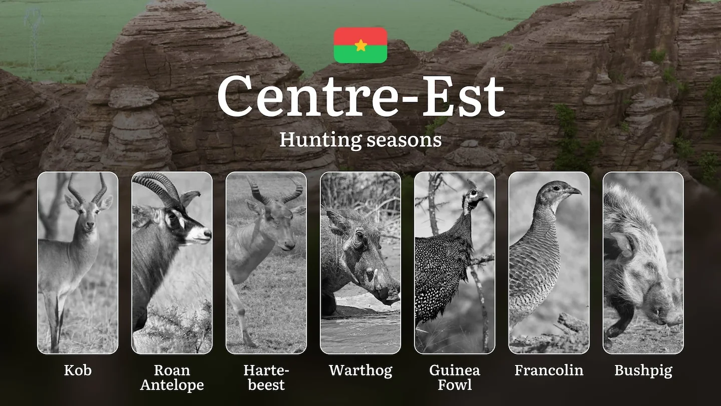 Hunting Seasons in CENTRE-EST: Key Dates, General Rules, Protected Species, Licensing Requirements and Practical Hunting…