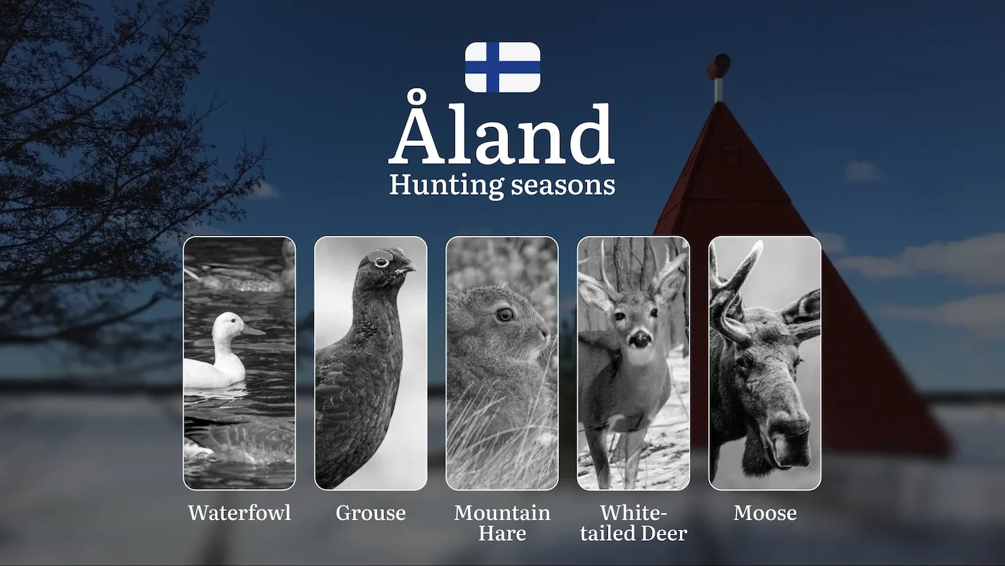 Maritime Hunting in ÅLAND: Seasons, Regional Specifics, Game Activity,  Legal Restrictions and Vital Rules