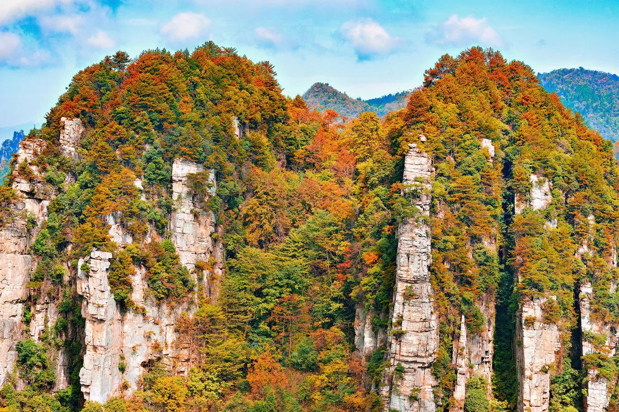 군산 지역의 사냥: 자연, 법규, 그리고 전통