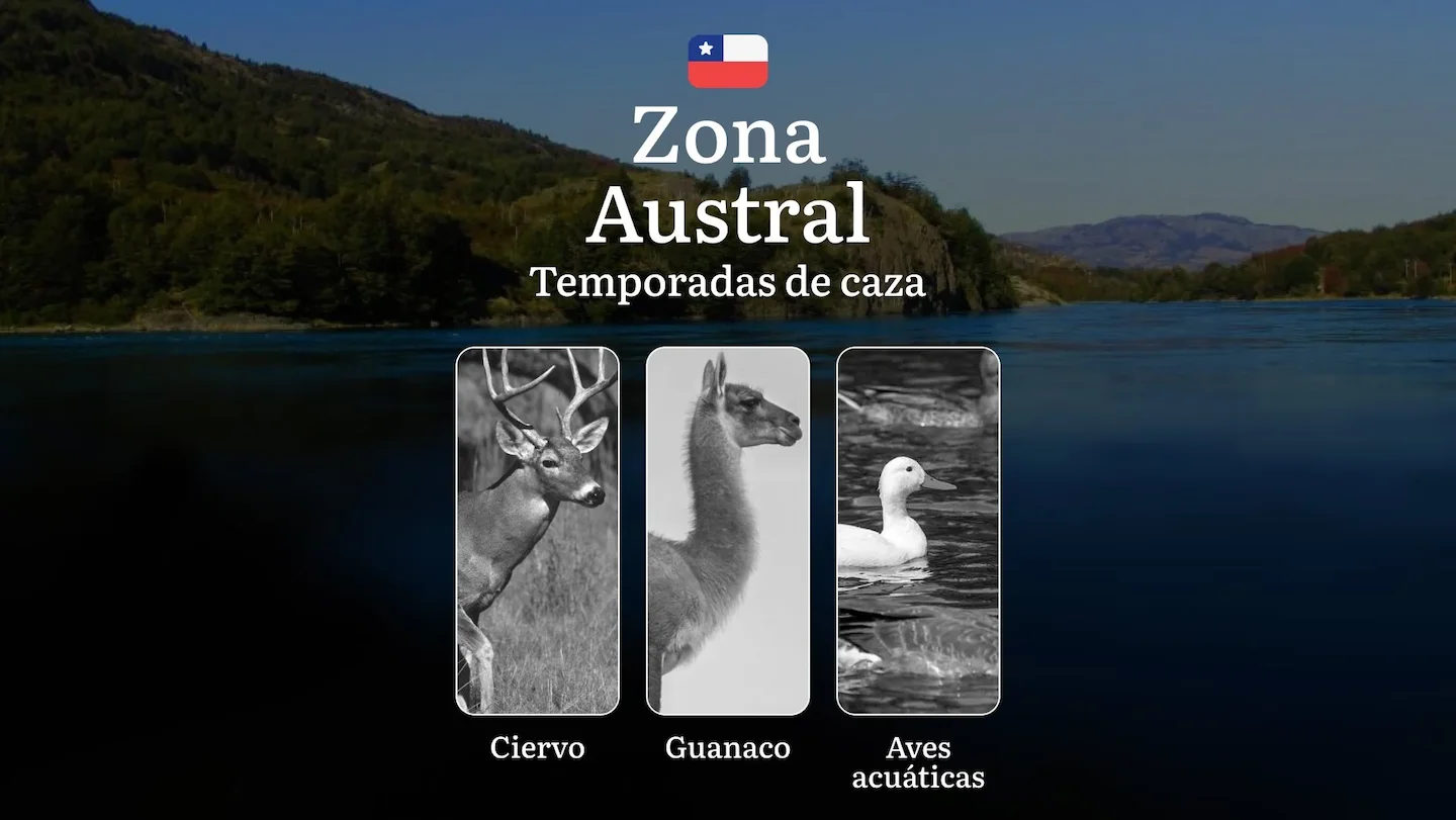 Plazos de caza en Chile, región de La Zona Austral: Temporadas, normativa y licencias, Características de la regulación,…