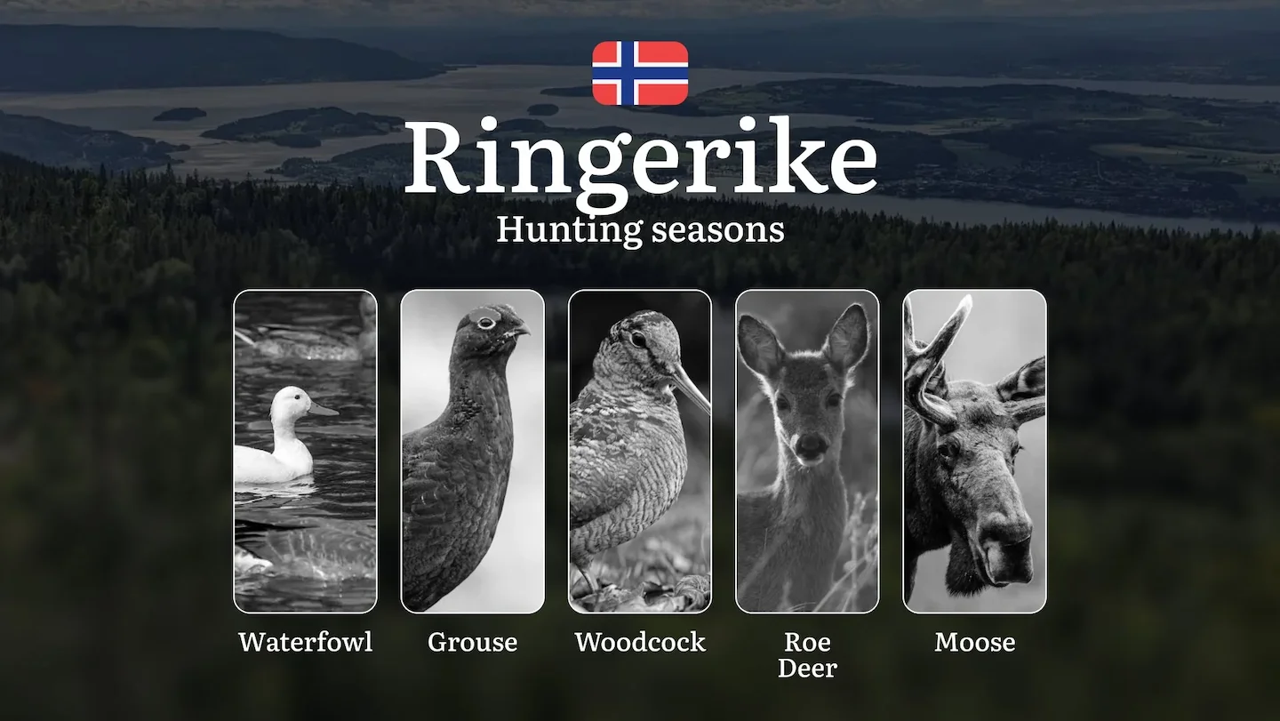 Hunting Dates in Ringerike: Seasonality of Hunting, Timing and Regulations, Hunting Permits, Restrictions and Prohibitio…