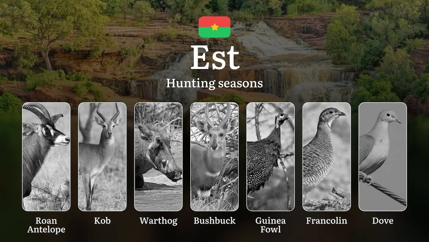 Hunting Seasons in EST: General Regulations, Wildlife Activity, Obtaining Hunting Permits, Practical Recommendations, Le…