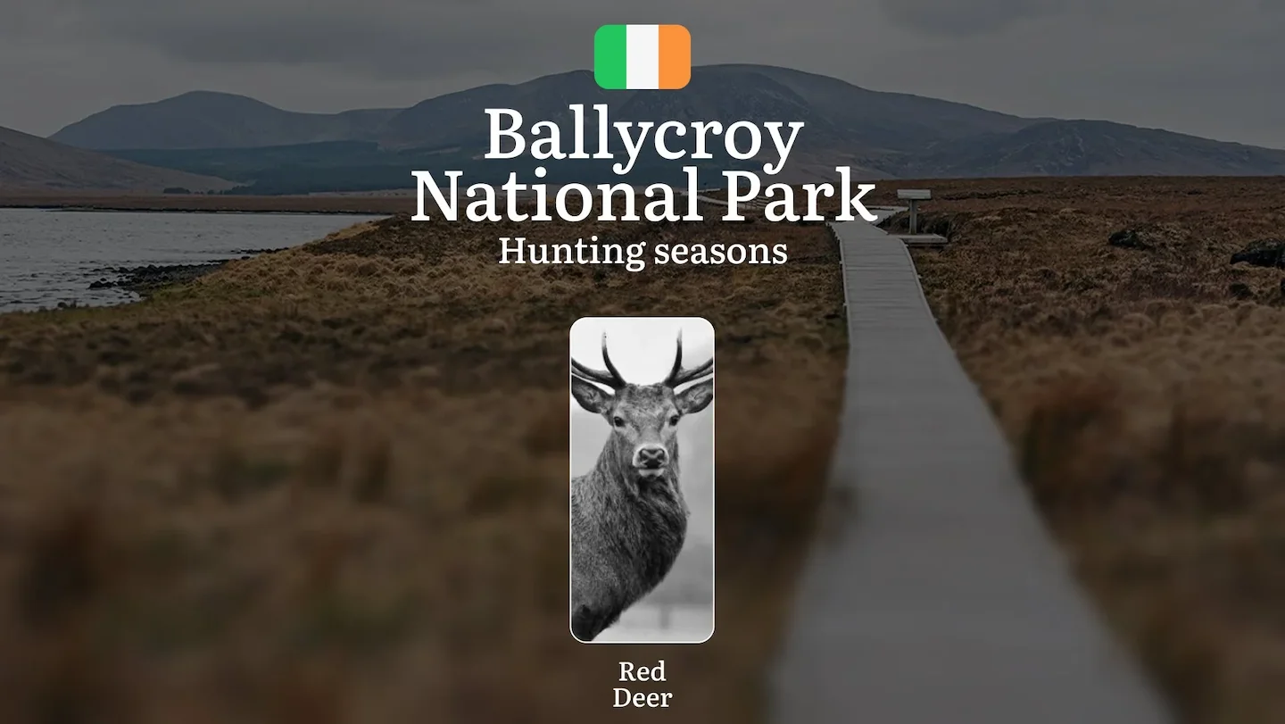BALLYCROY NATIONAL PARK Hunting Seasons: Hunting Calendar, Licensing Essentials, and Expert Strategies for Ireland's Wil…