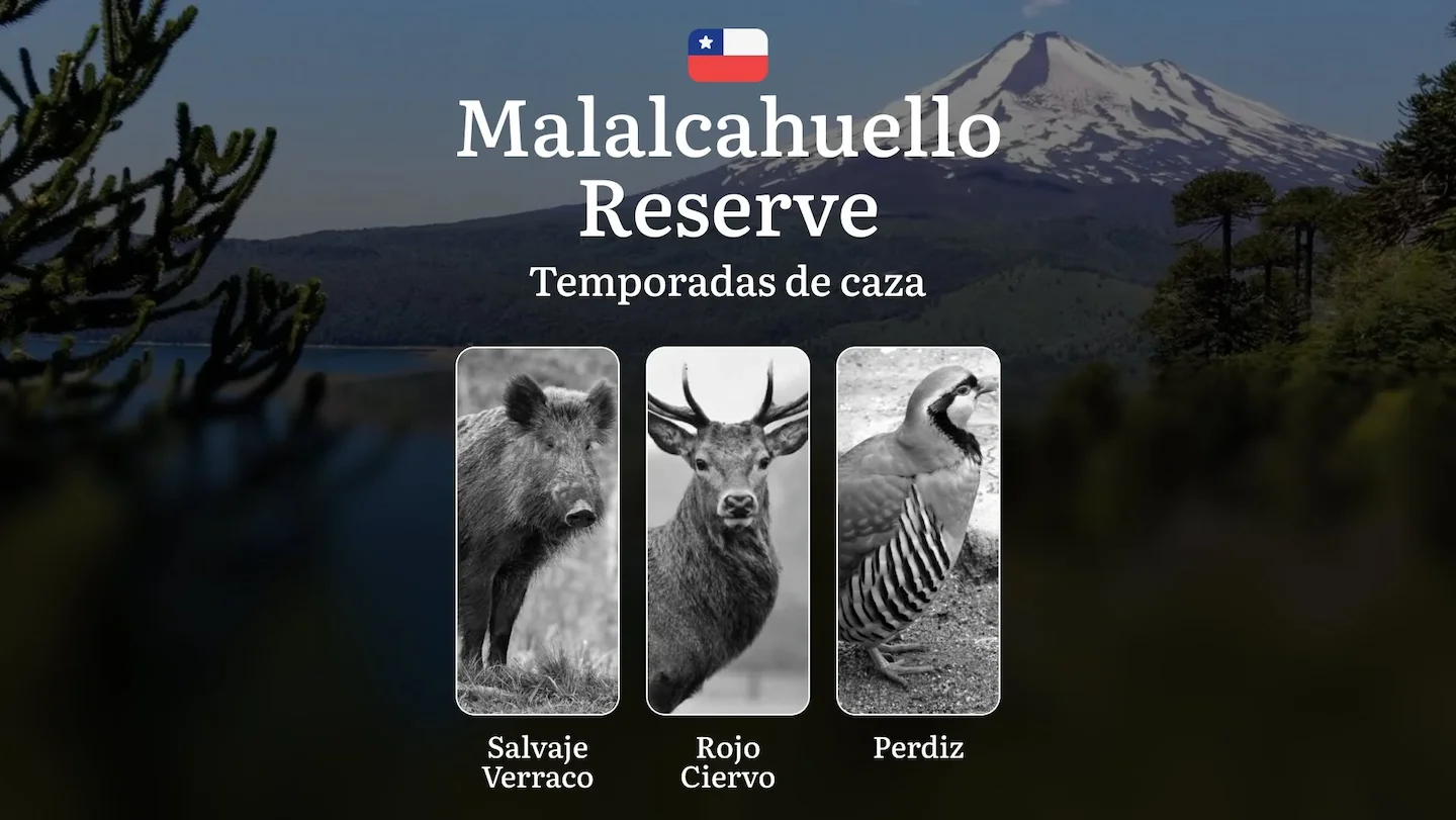 Temporadas de caza en la Reserva Nacional Malalcahuello, Chile: permisos y normas, restricciones, limitaciones y especie…