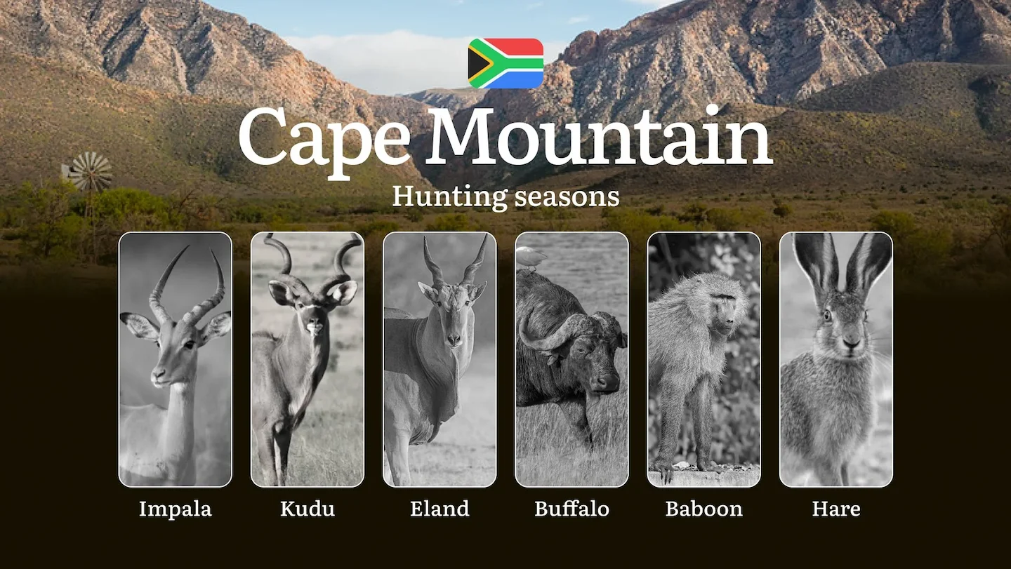 Time of Hunting in South Africa, The Cape Mountain Region Guide: Seasonal Hunting Features, Penalties and Consequences,…
