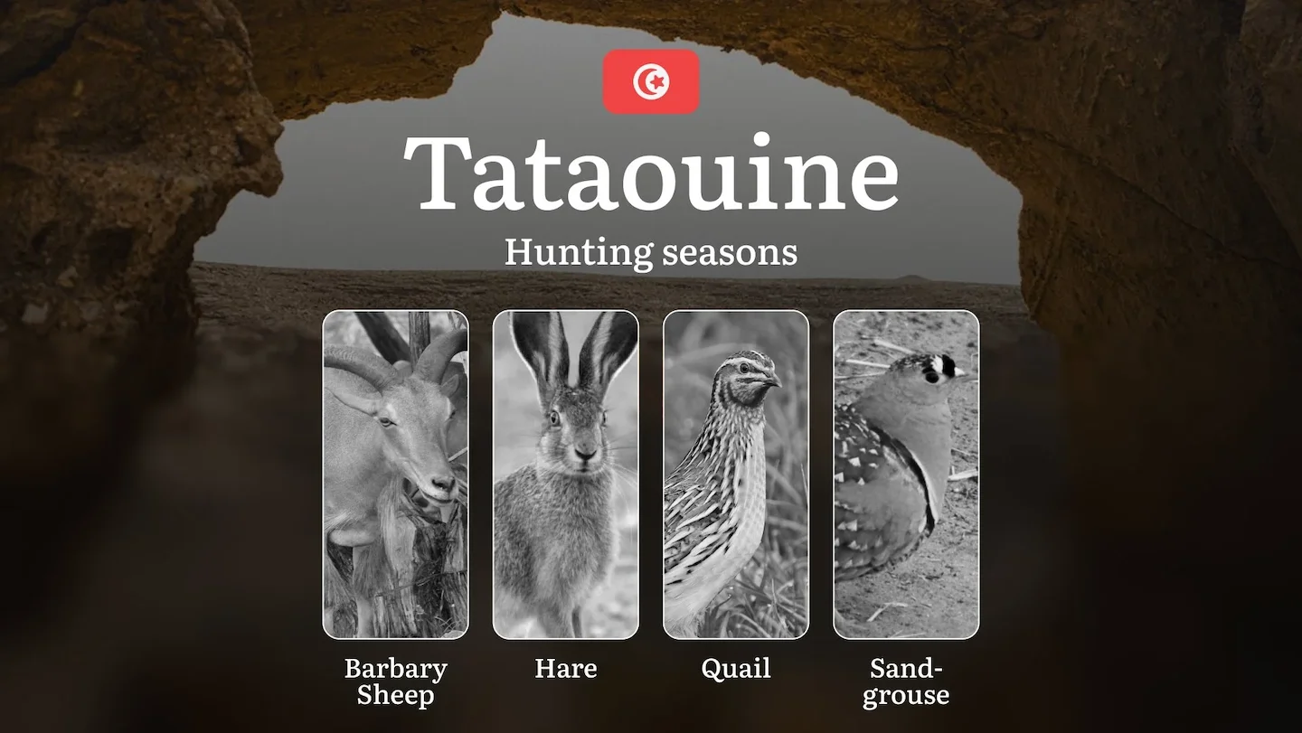 Hunting Seasons in TATAOUINE: Key Periods, Vital Regulations, Game Activity, Protected Species, Required Licenses, Strat…
