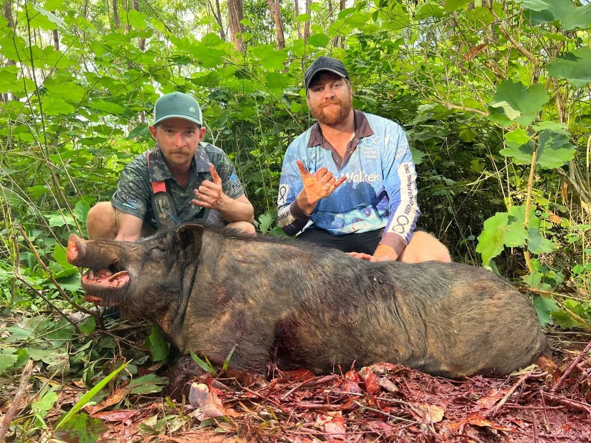Cape York Hunting: Exploring the Wild Nature and Distinctive Features of hunting in this area, Demographics, Legislation…