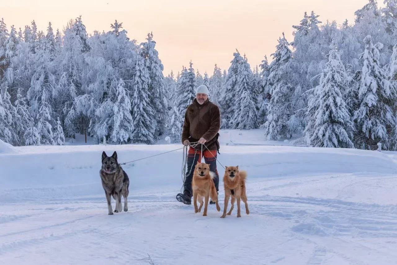 Fjälljakt on the Brink: Why Sweden’s Mountain Hunting Rights Could Decide the 2026 Election