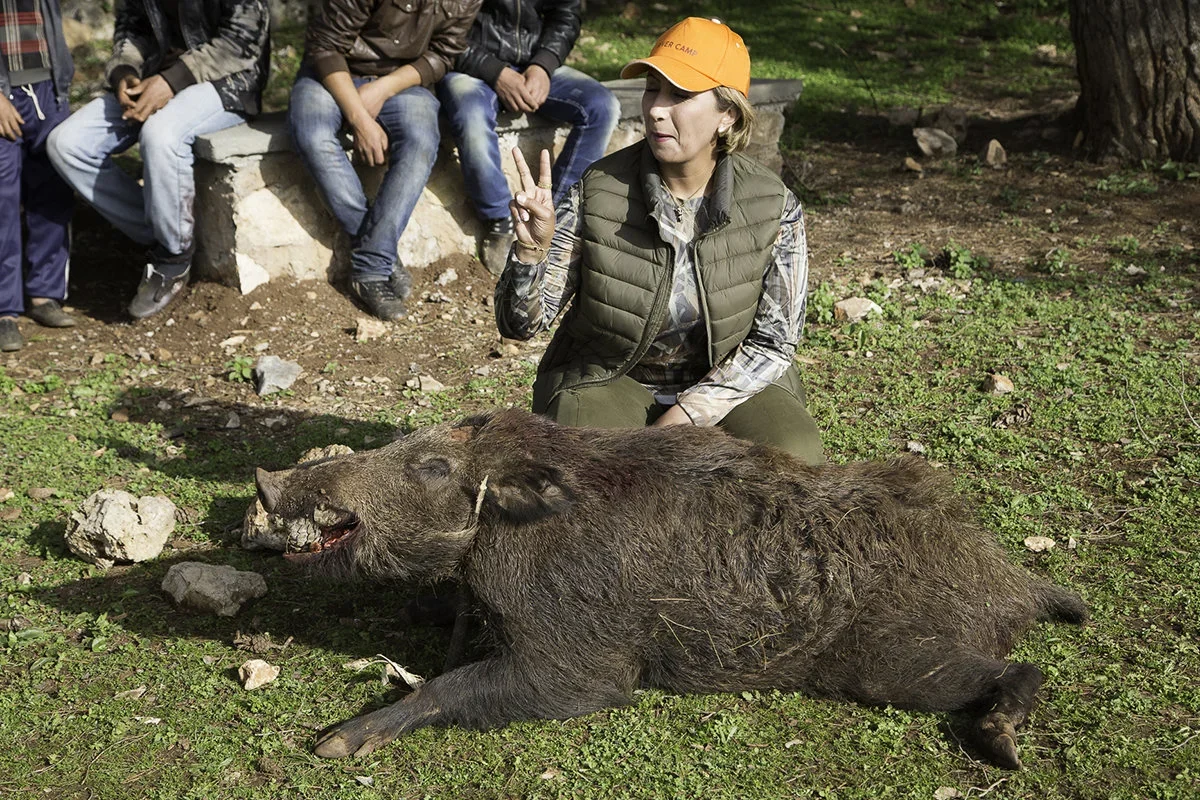 Middle Atlas Boar Hunting: In the footsteps of a Wild Boar in the Heart of Morocco