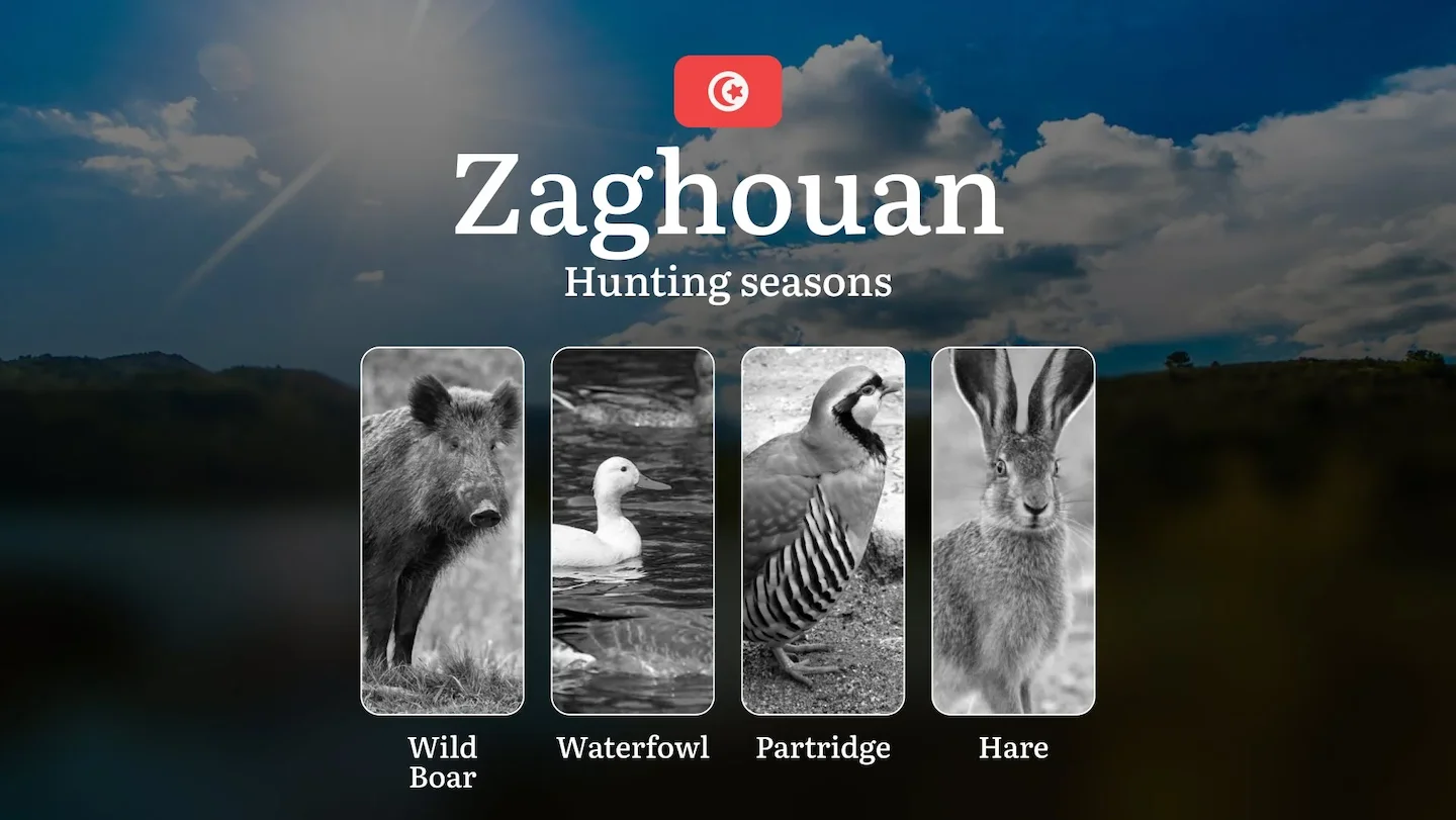 Hunting Seasons in ZAGHOUAN: Key Periods, Licensing Requirements, Strategic Recommendations, Regulatory Restrictions and…