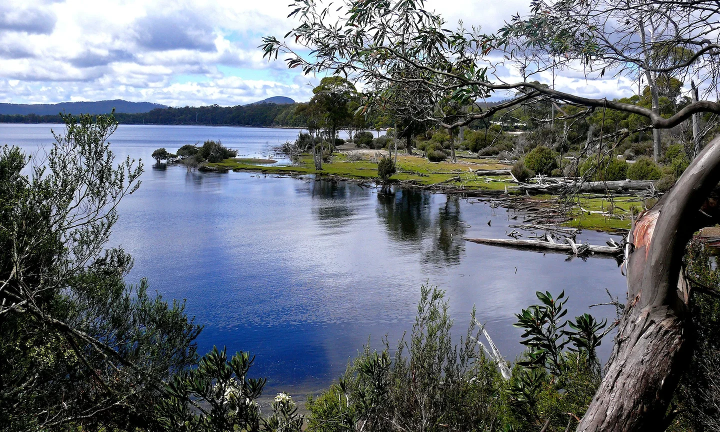 Tasmanian Highlands Hunting: Chasing Trophy Game in Untamed Wilderness