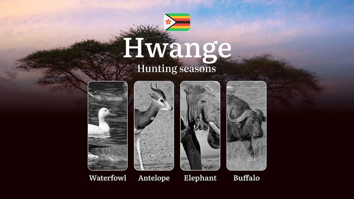 Dates of Hunting in HWANGE NATIONAL PARK, Zimbabwe: Hunting Periods, Licenses, Rules and Times for Harvesting, Restricti…