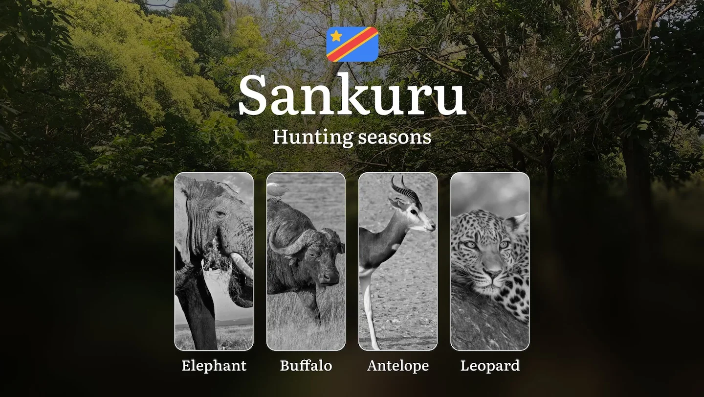 Hunting Calendar for Sankuru (DRC): Regional Hunting Rules, Licensing Procedures, Off-Season Violation Penalties, and St…