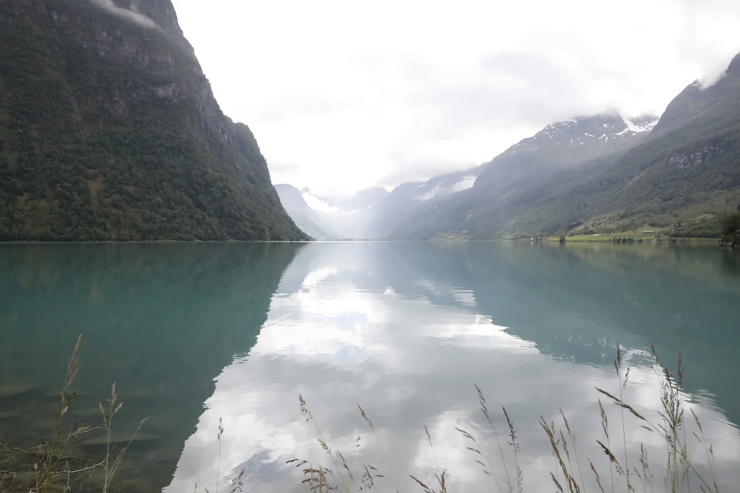 Innlandet Moose Hunting in Norway: A Premier Destination for Hunters
