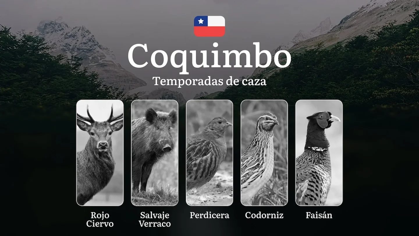 Chile, región de Coquimbo: Temporadas de caza, licencias y normas, tipos de presa y épocas óptimas para la caza, multas…
