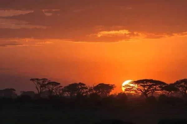 How Mozambique's Hunters Are Fighting Hunger: The 2026 Wild Game Meat Donation Drive