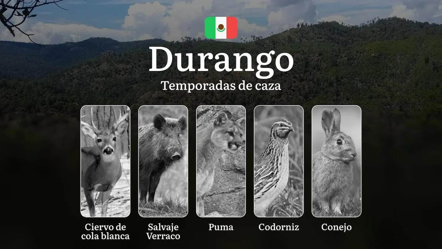 Temporadas y períodos de caza en Durango: Calendario, Especies y Normativas para una Caza Responsable