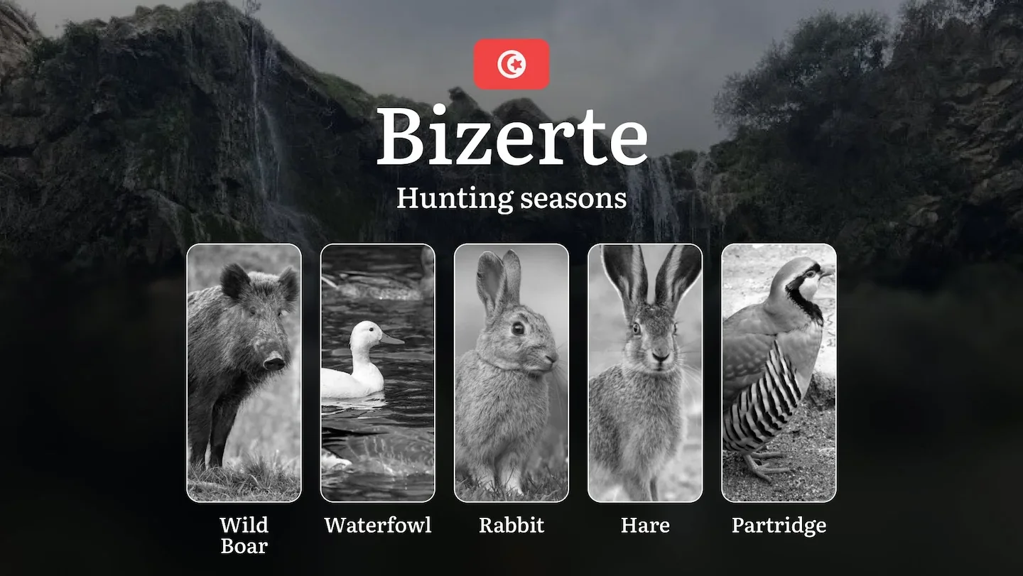 Hunting Seasons in BIZERTE: Official Opening/Closing Dates, General Rules, Key Periods, Required Permits, Practical Tips…