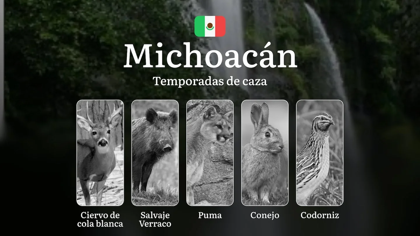 Temporadas y períodos de Caza en Michoacán: Fechas, Especies y Regulaciones para el Cazador Experto