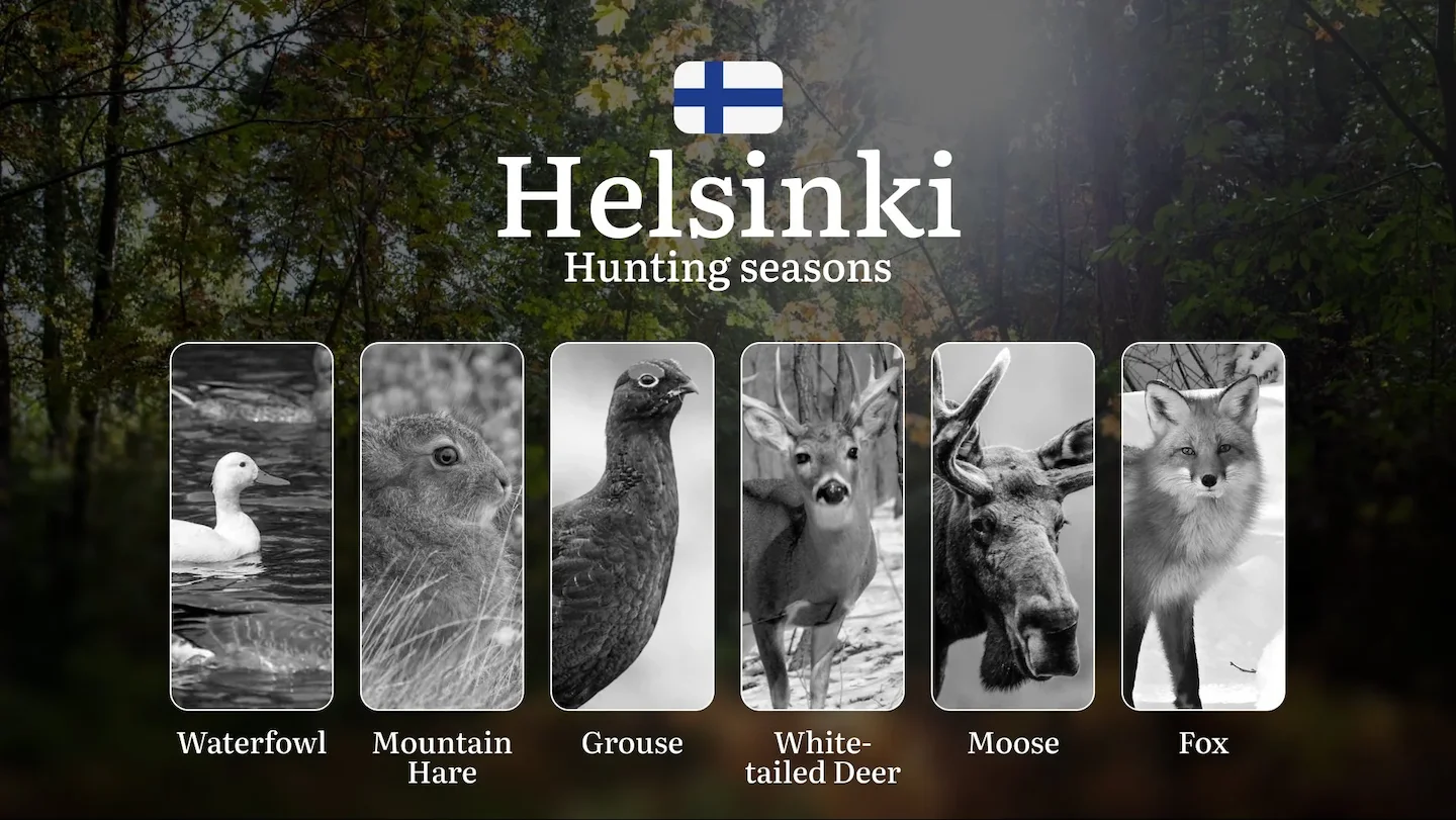 Hunting Seasons in HELSINKI: Key Periods, Regulations, Seasonal Variations and Practical Tips