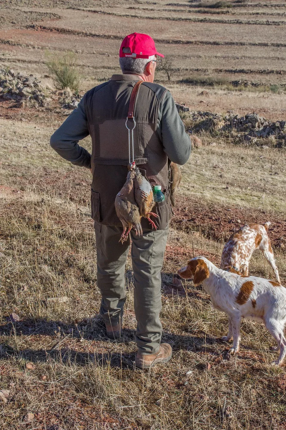 Grouse hunting in the Middle Atlas: a unique experience in the heart of Morocco