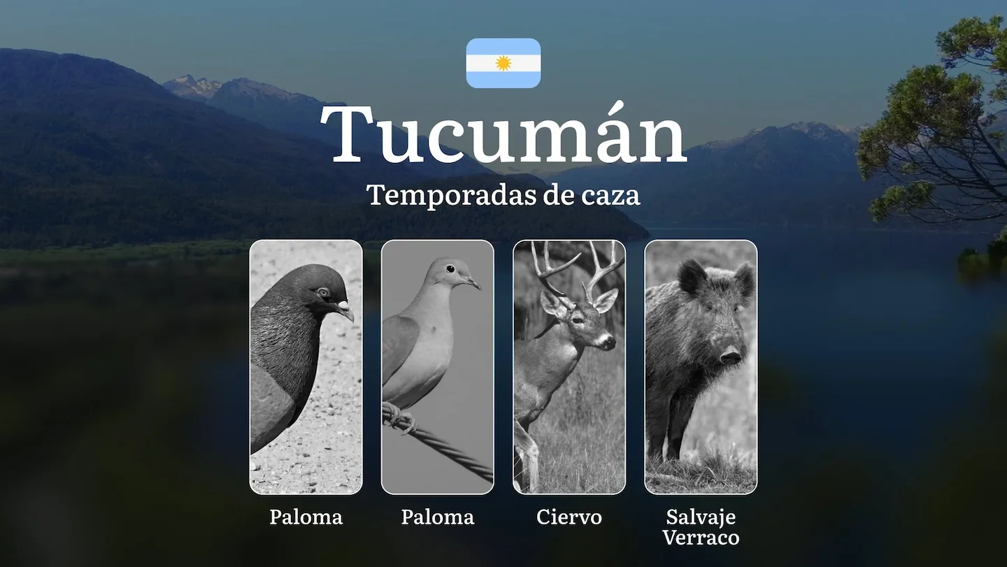 Caza en Tucumán: Temporadas de caza, Reglas y Mejores Épocas para la Caza, Factores que influyen en las fechas, Document…