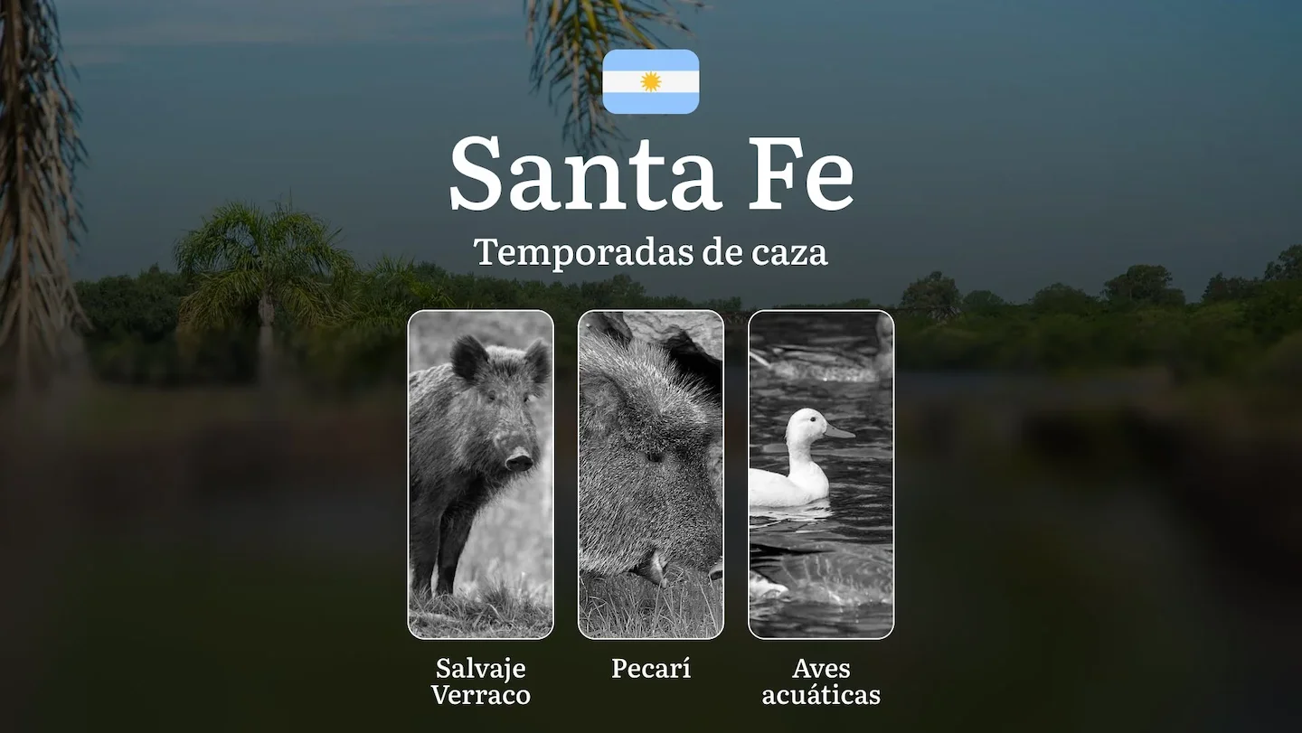 Santa Fe, Argentina:temporadas de caza en la región, épocas, permisos, normas y mejores épocas para la caza