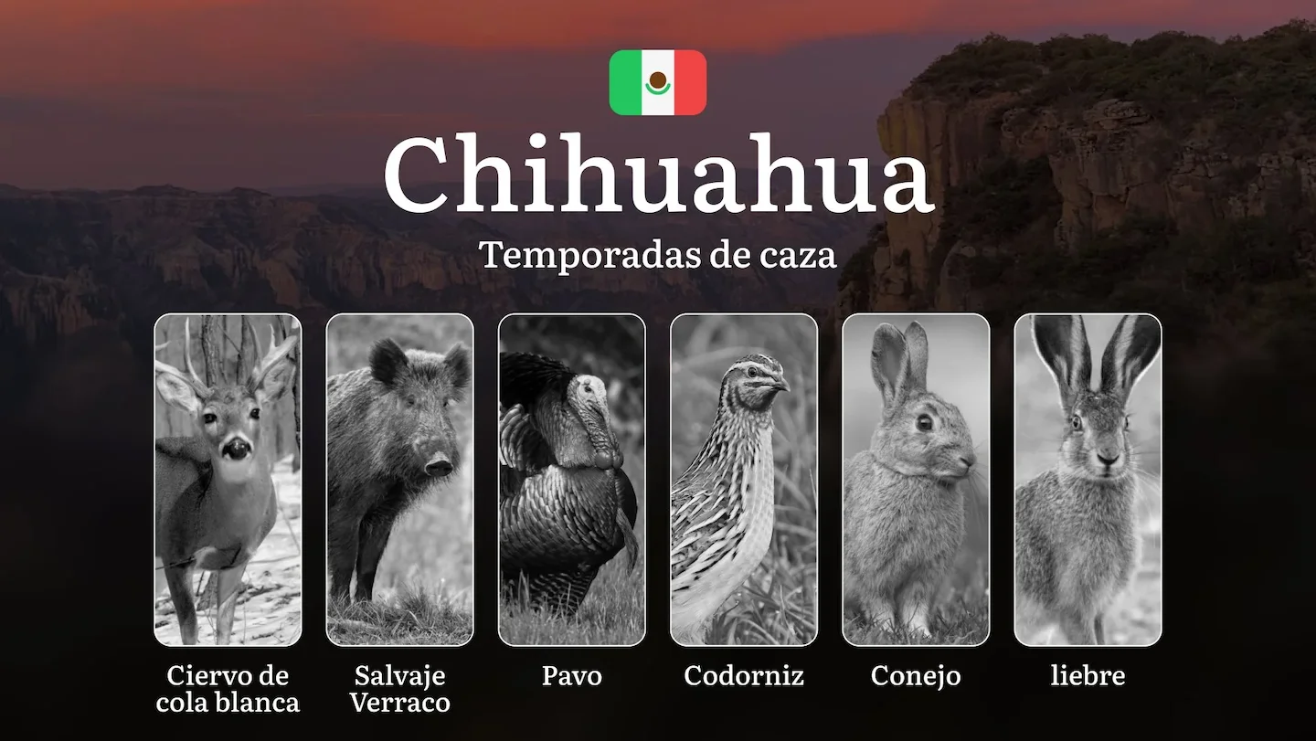 Temporadas y períodos de caza en Chihuahua: Patrones Estacionales, Regulaciones y Licencias para Cazadores