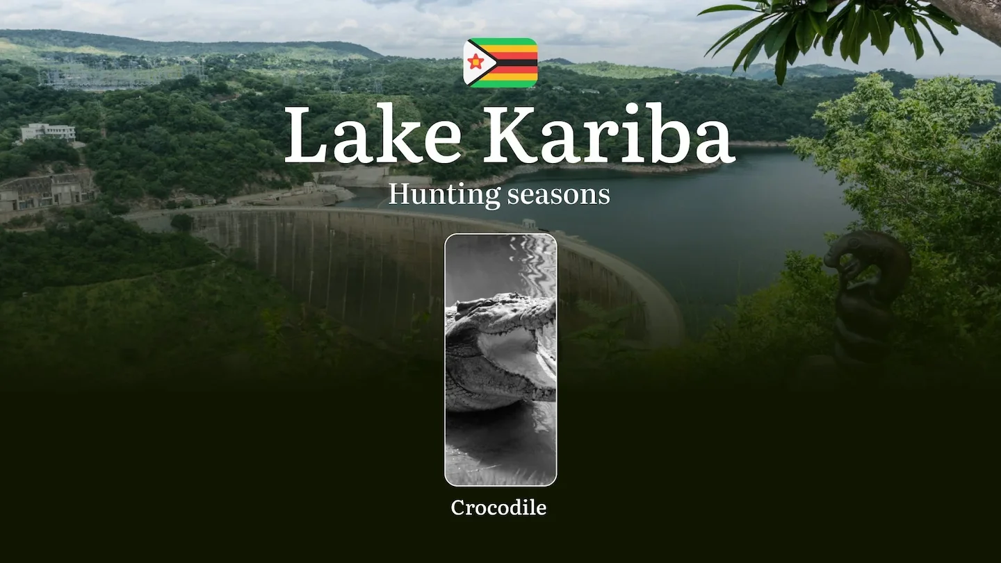 Hunting Seasons in Zimbabwe’s LAKE KARIBA Region: Crocodile Hunting Dates, Licenses, Rules, and Times for the Hunt