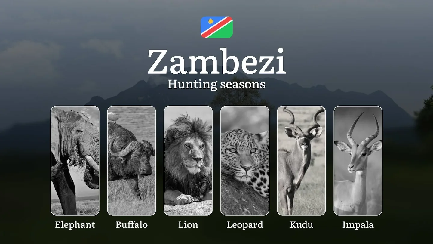 Zambezi, Namibia: Hunting Dates, Species Availability, Seasonal Restrictions, License, Possible Fines, Advice from Hunte…