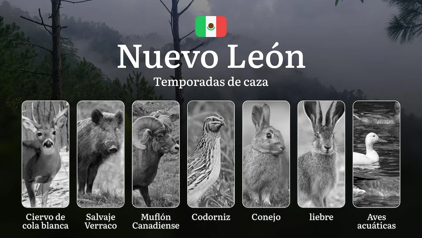 Temporadas y períodos de caza en Nuevo León: Periodos Legales, Especies y Recomendaciones para Cazadores