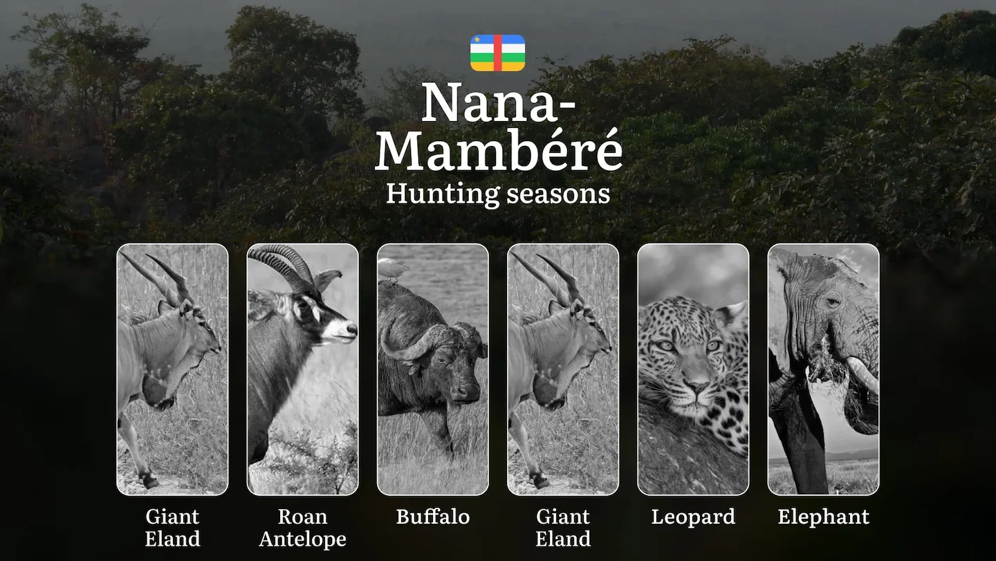 Hunting in Nana-Grébizi: Understanding Hunting Calendar, Legal Permits and Restrictions, Local Hunting Traditions