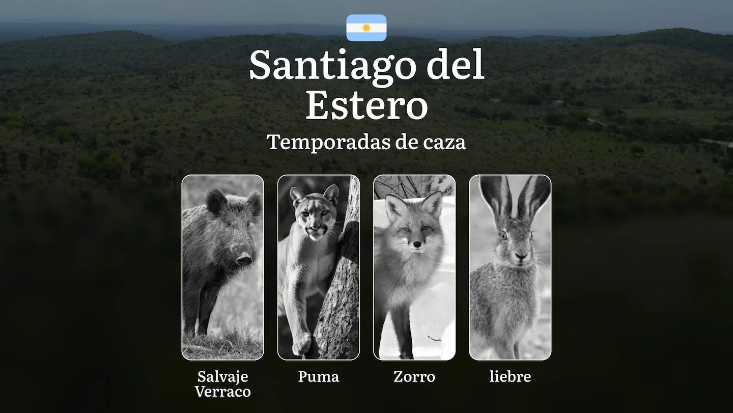 Santiago del Estero, Argentina: fechas, permisos, reglas y tácticas, temporadas de caza en la provincia, características…