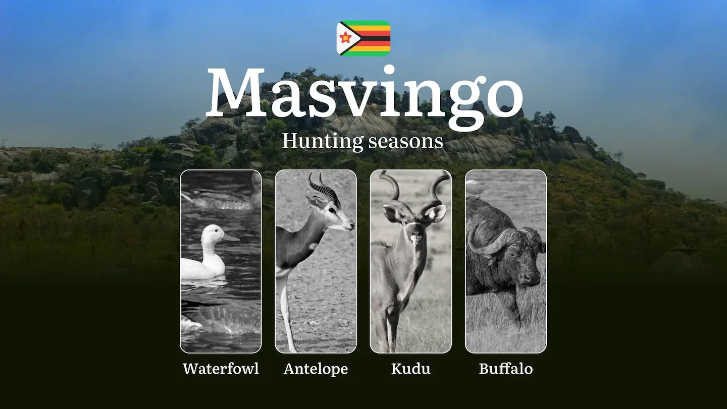 Seasons of Hunting in Zimbabwe's MASVINGO Region: Hunting Seasons, Dates, Licenses, Rules and  Documents, Club Assistanc…