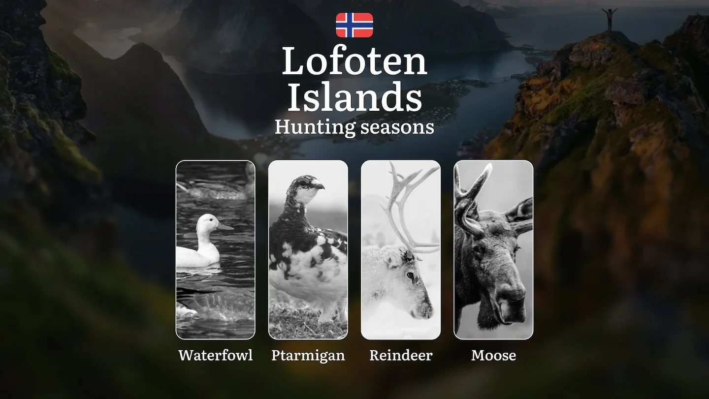 Hunting Seasons in Lofoten Islands: Restrictions, Bans, and Protected Species, Choosing Timing, Gear, and Tactics