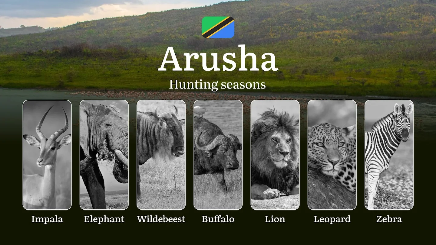 Hunting Calendar for Arusha: Prime Times for Big and Small Game, Restricted Areas, Regulations and Exemptions, Obtaining…