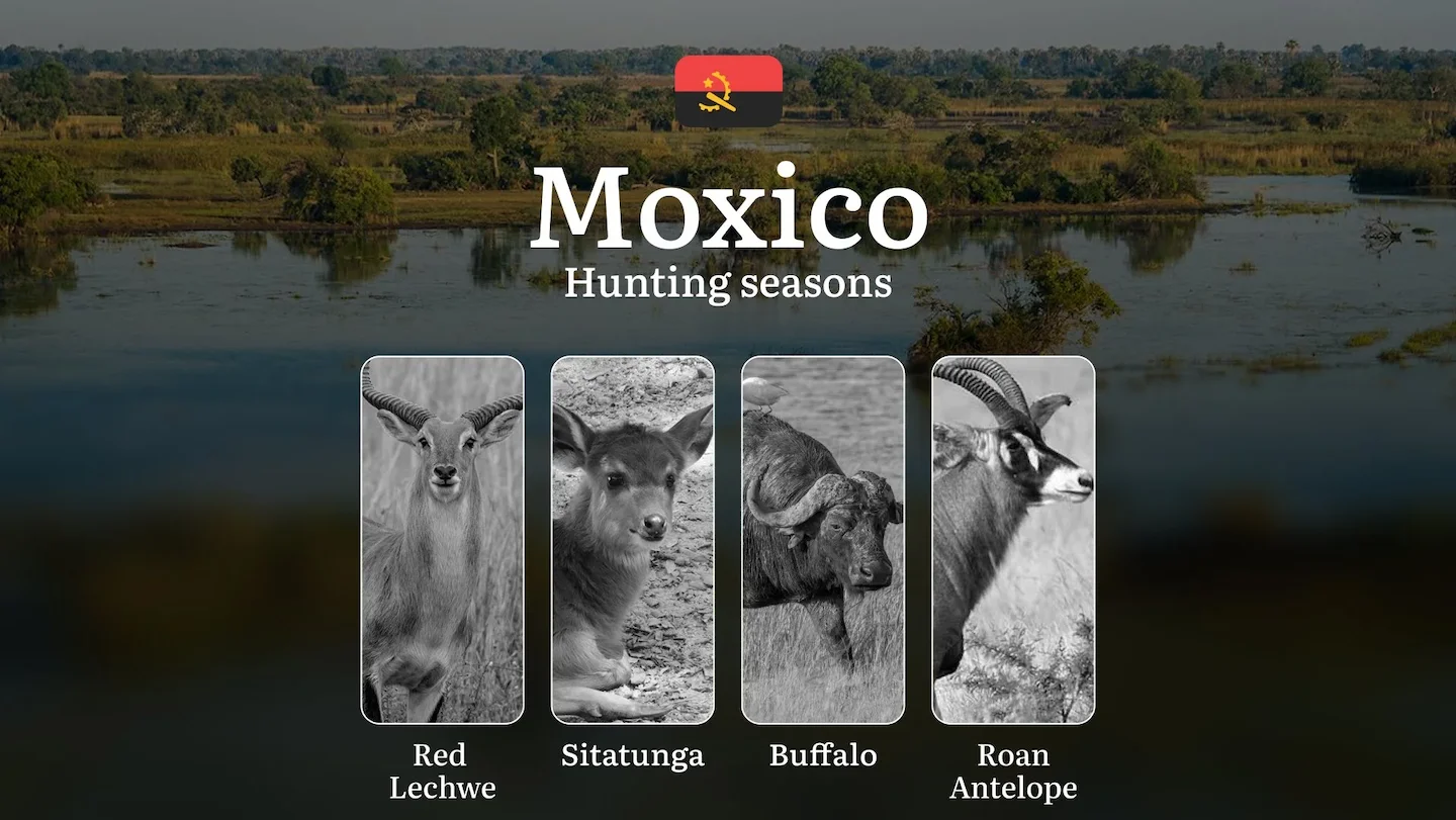 Hunting Seasons of Moxico: Exploring General Hunting Rules, Legislation and Permits, Hunter Events and Cultural Experien…