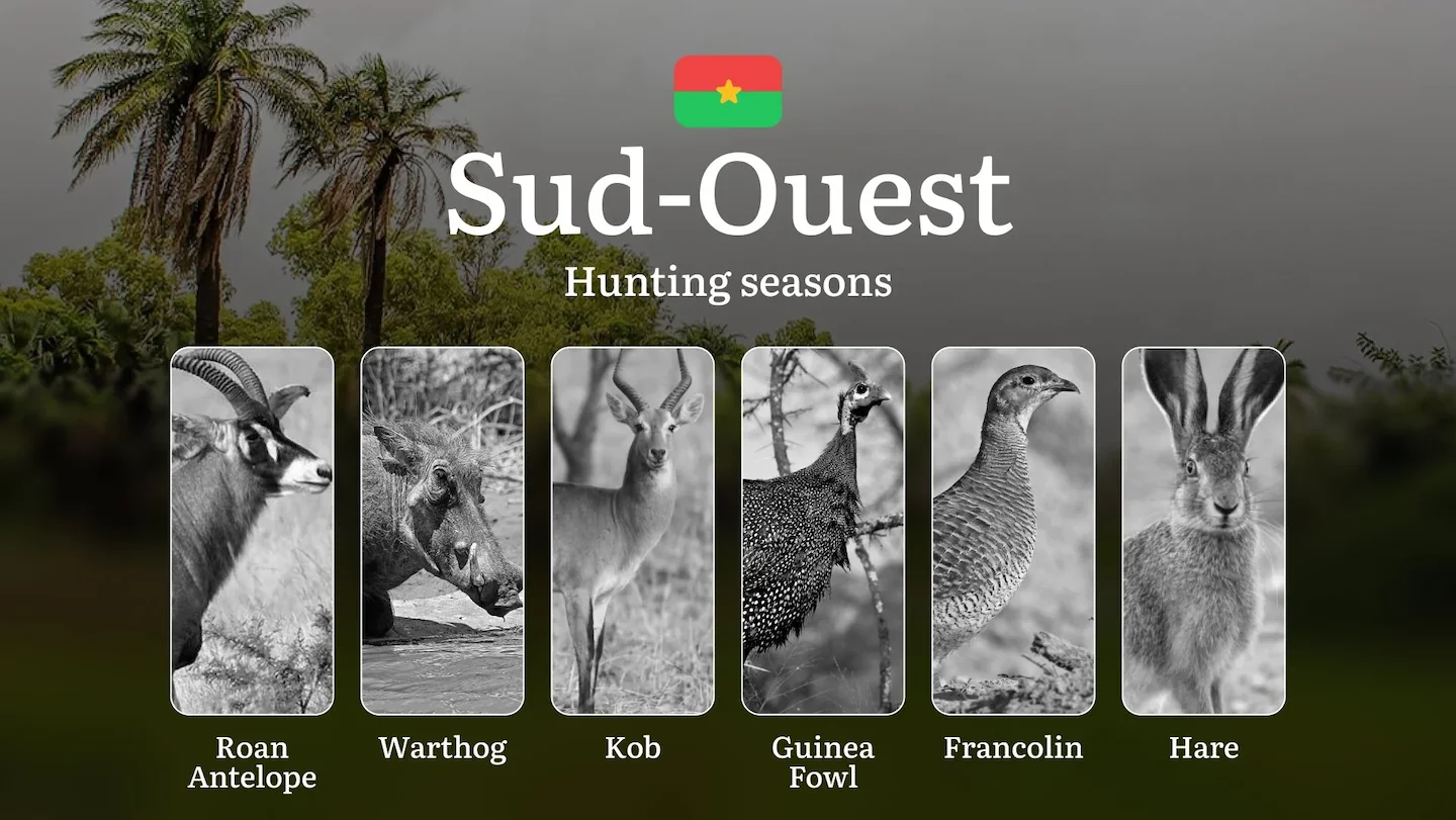 Hunting Seasons in SUD-OUEST: Optimal Hunting Periods, Legal Requirements, Protected Species, Seasonal Restrictions, and…