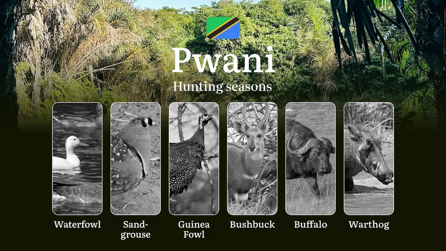 Pwani: Official Hunting Dates, Regulatory Limits and Seasonal Prohibitions, Licensing Rules, Fines and Legal Penalties f…