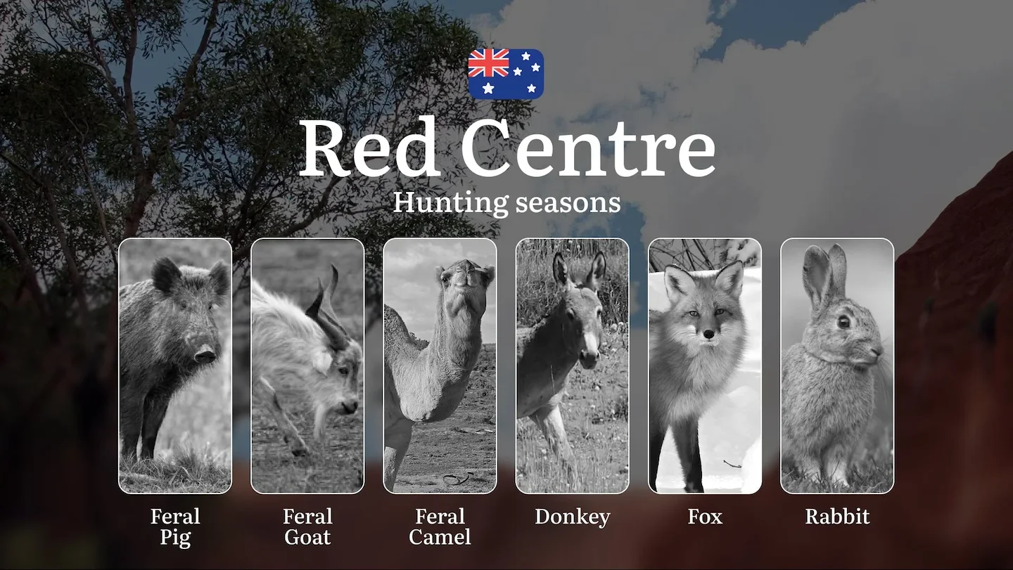 Chasing Shadows in the Desert: Hunting Calendar, Seasons, Rules, and Strategies in Australia’s Red Centre