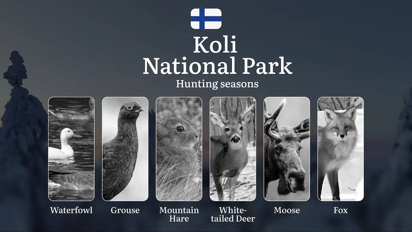 Hunting Seasons in KOLI NATIONAL PARK: Full Season Calendar, Licensing Information, Key Regulations and Restrictions