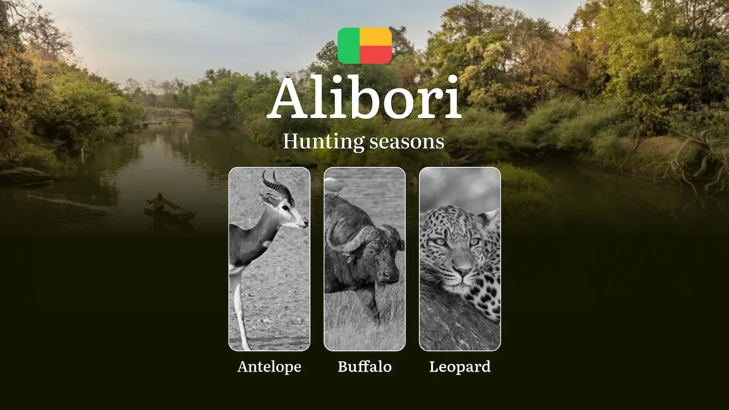Hunting Seasons in Benin, ALIBORI Region: Seasons, Licenses and Rules for Hunting, Hunting Permits, Planning Tips and Ta…