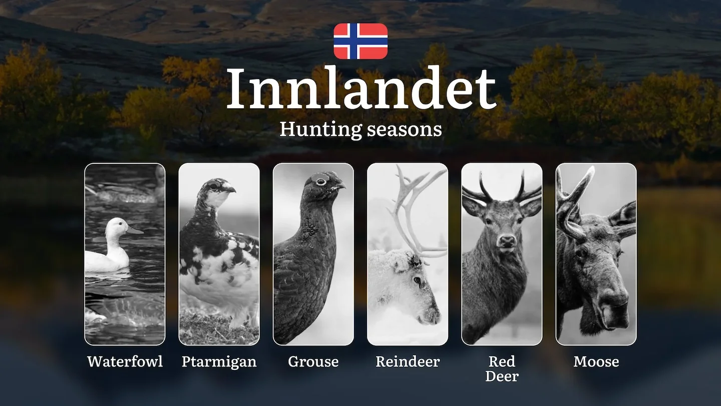 Hunting Seasons in Innlandet: Regulations, Permits, and Time for Hunting, Documents and Organizations