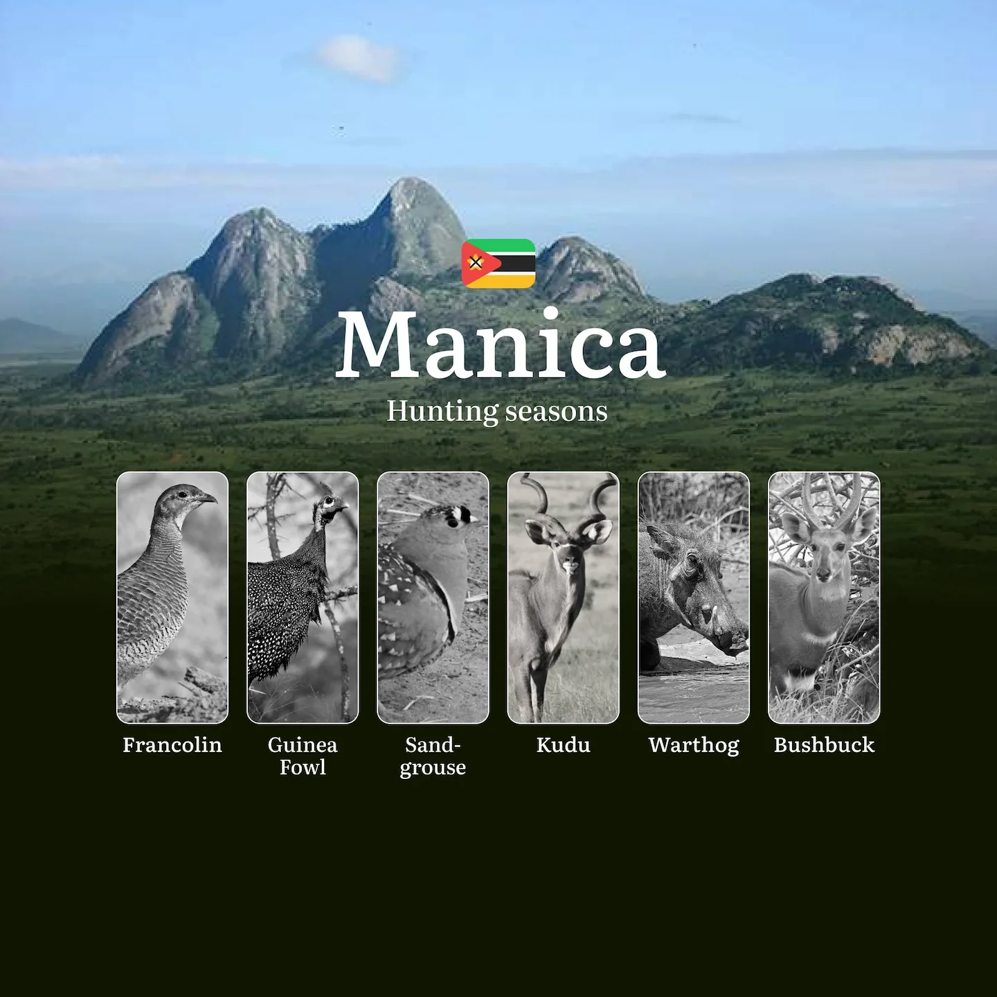 Mastering Manica's Hunting Seasons and Calendar for Prime Trophies