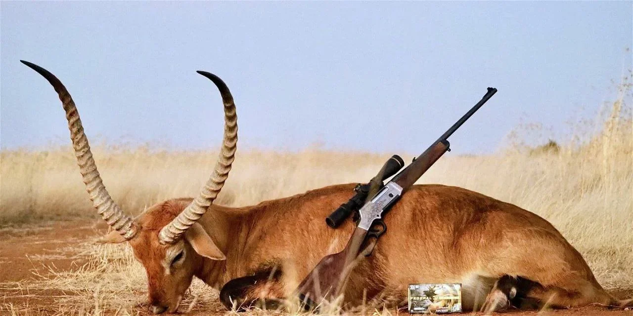 Angola Hunting Season 2026: Laws, Licenses, Prices & CITES Rules | Full Guide