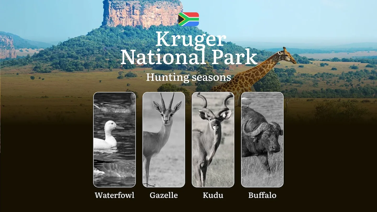 Hunting Seasons in South Africa: Kruger National Park Regulations, Timings and Periods, Limits and Rules, Tactics for Hu…
