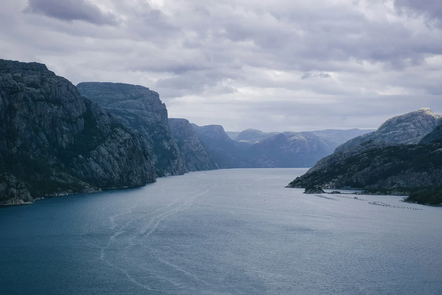 Ringerike Hunting Grounds in Norway: A Comprehensive Guide for Hunters