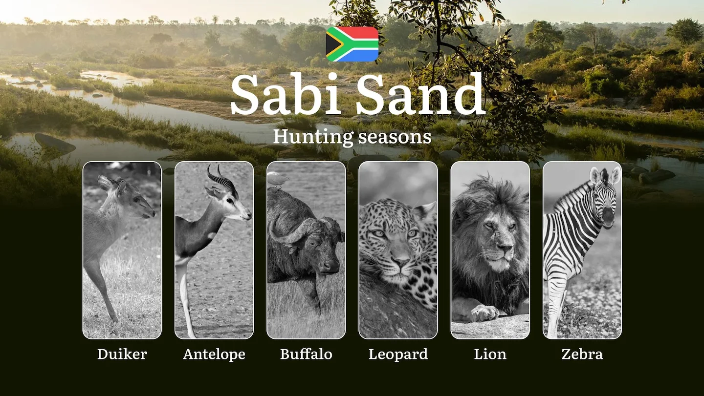 Hunting Timing in Sabi Sand: Periods and Dates of Hunting, Tips and Tactics for Hunters, Limits and Permits